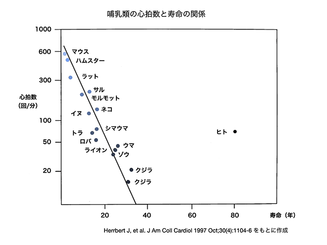 株の先生　札幌
株の勉強　札幌
株の相談　札幌
株の学校　札幌
株セミナー札幌
ファイナンシャルプランナー宮崎公男