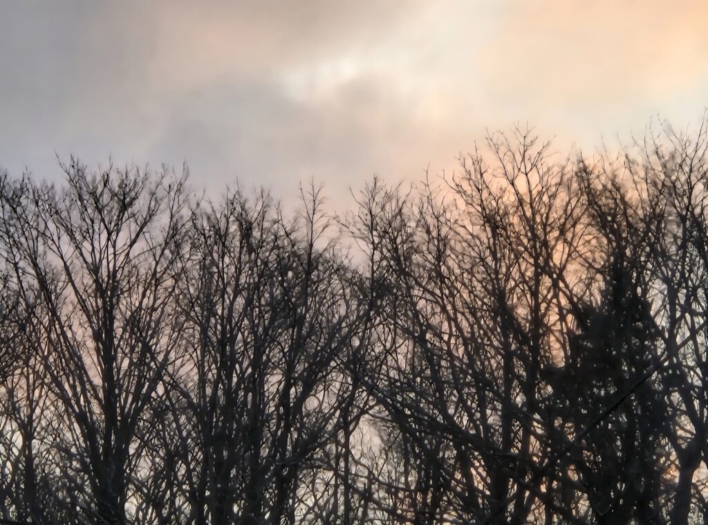 株の先生　札幌
株の学校　札幌
株の相談　札幌
株の学校　札幌
株セミナー札幌
ファイナンシャルプランナー宮崎公男