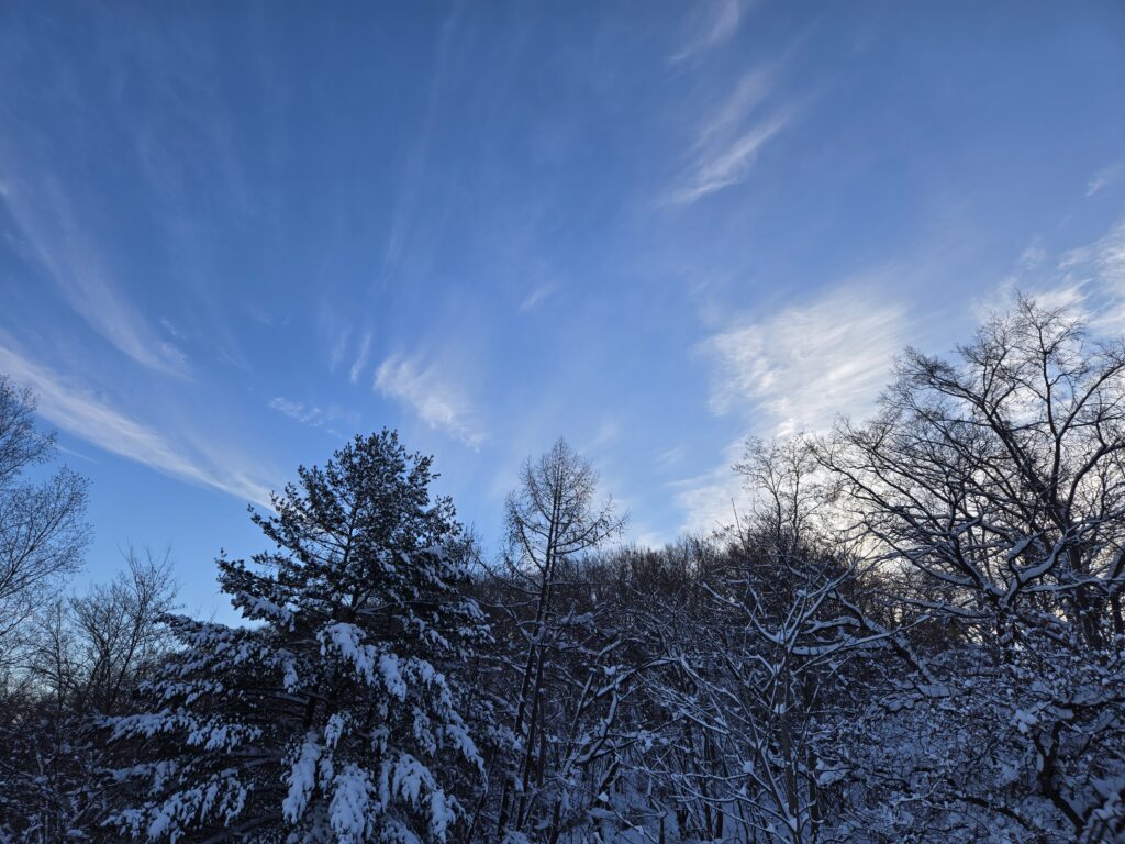 株の先生　札幌
株の学校　札幌
株の勉強　札幌
株の相談　札幌
株セミナー札幌
ファイナンシャルプランナー宮崎公男
