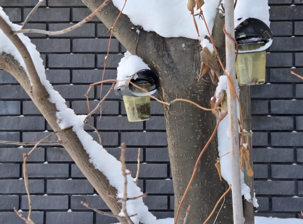 株の先生　札幌
株の学校　札幌
株の相談　札幌
株の学校　札幌
株セミナー札幌
ファイナンシャルプランナー宮崎公男