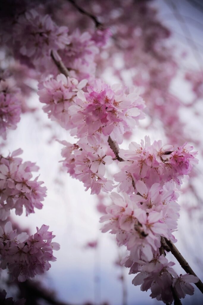 株の先生 札幌
株の学校 札幌
株の勉強 札幌
株の相談 札幌
株セミナー札幌
ファイナンシャルプランナー宮崎公男