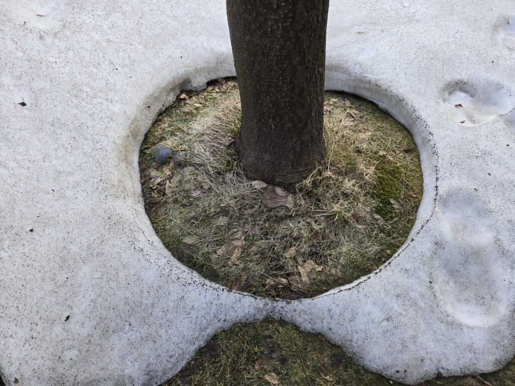 株の先生　札幌
株の相談　札幌
株の学校　札幌
株の先生　札幌
株セミナー札幌
ファイナンシャルプランナー宮崎公男