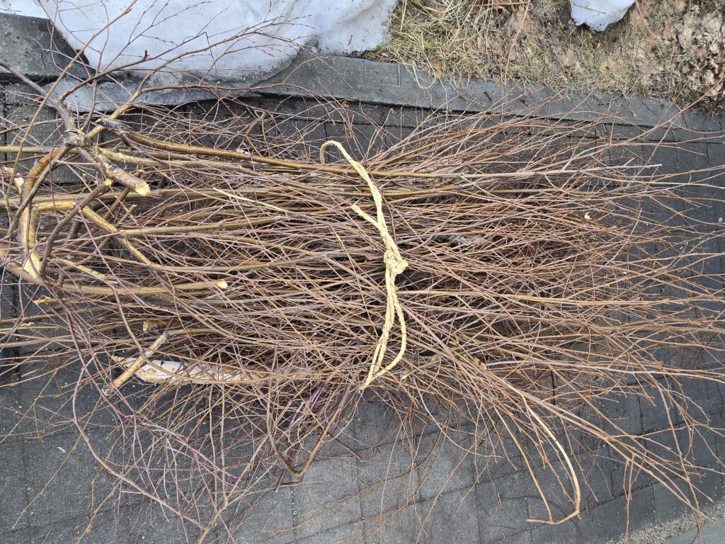 株の先生　札幌
株の学校　札幌
株の勉強　札幌
株の相談　札幌
株セミナー札幌
ファイナンシャルプランナー宮崎