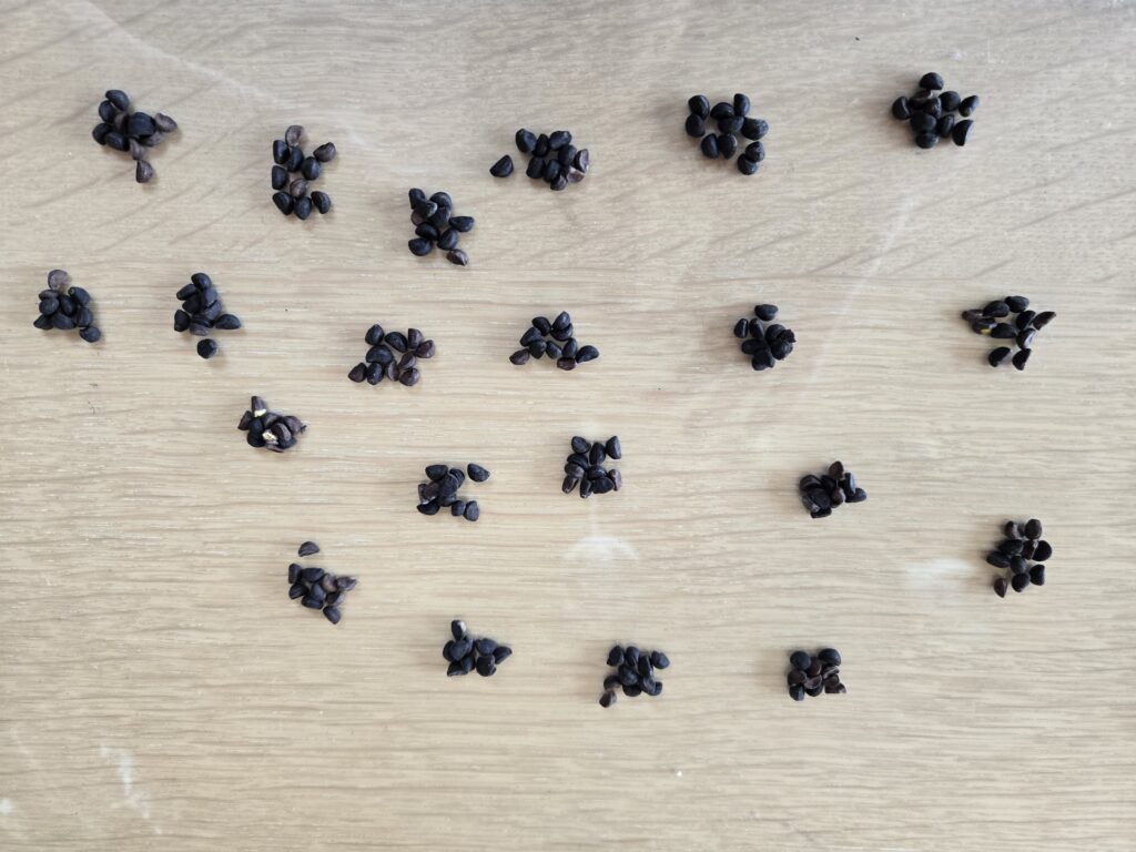 株の先生　札幌
株の勉強　札幌
株の学校　札幌
株の相談　札幌
ファイナンシャルプランナー宮崎公男