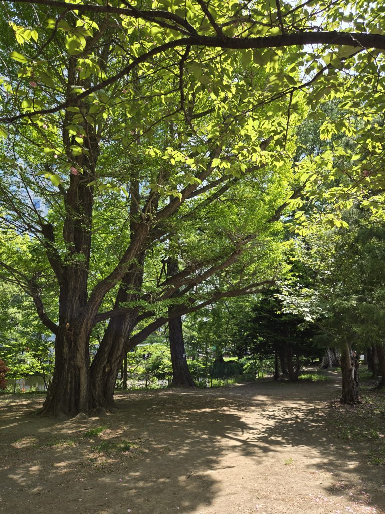 株の先生 札幌
株の相談 札幌
株の学校 札幌
株の勉強 札幌
ファイナンシャルプランナー宮崎公男